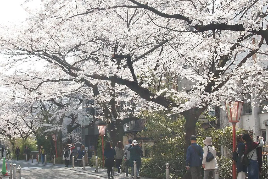 Hotel Bijuu Kioto